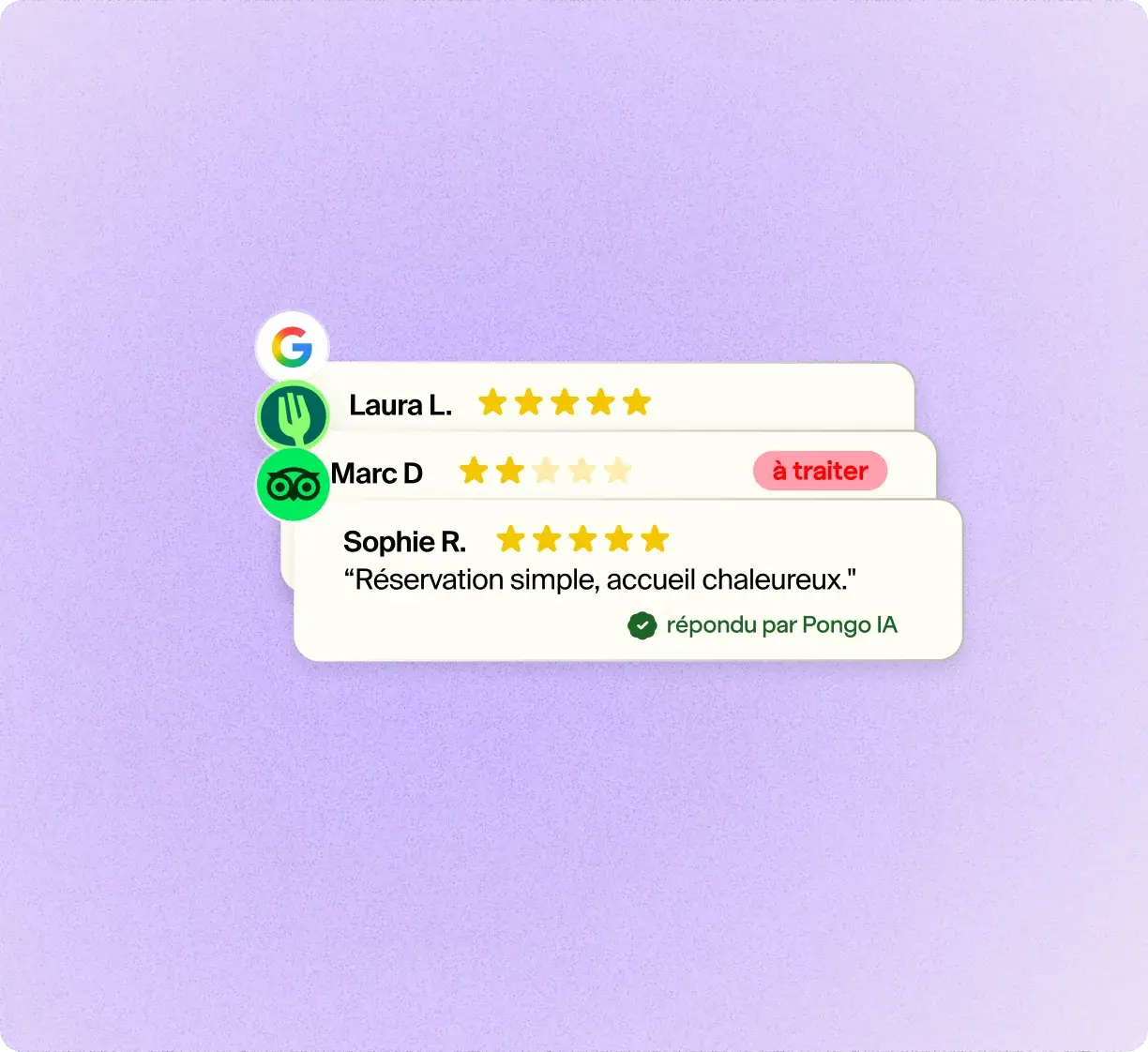 Gestion des avis et présence locale : Pongo